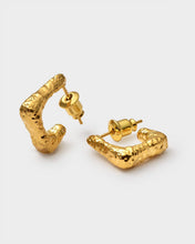 Load image into Gallery viewer, LUXE LOCK HOOP EARRINGS | Gold Coated |