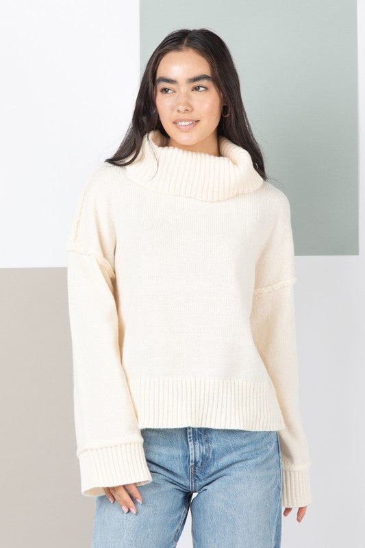Turtleneck Solid Cozy Sweater Top