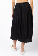 Load image into Gallery viewer, Plus Pleated Maxi Skirt
