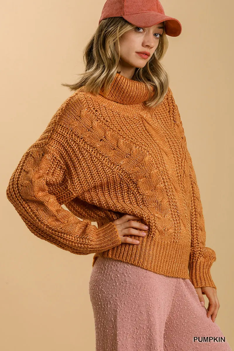 Turtle Neck Maeve Cable Detail Long Slee