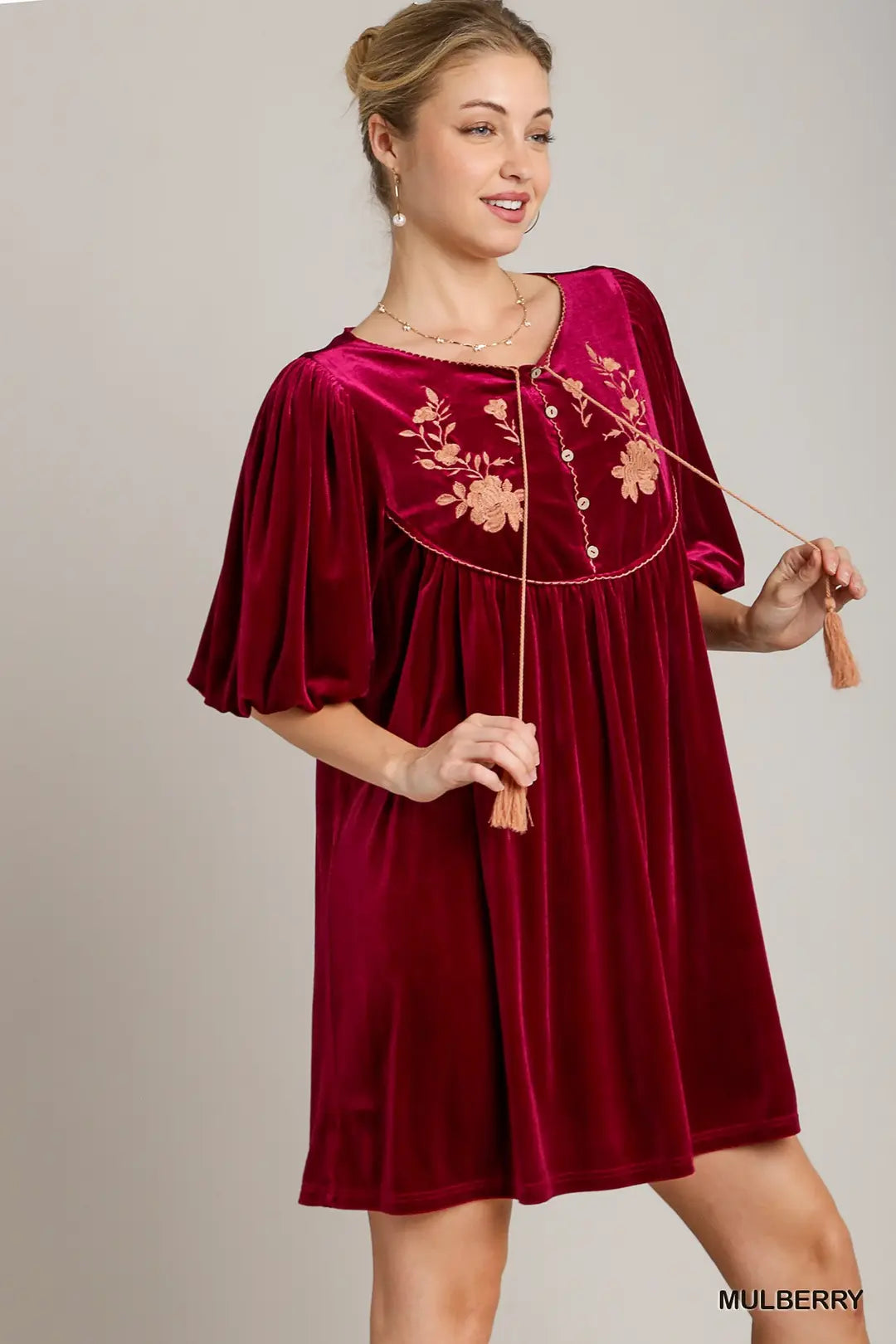 Velvet Balloon Sleeve Dress with Embroid