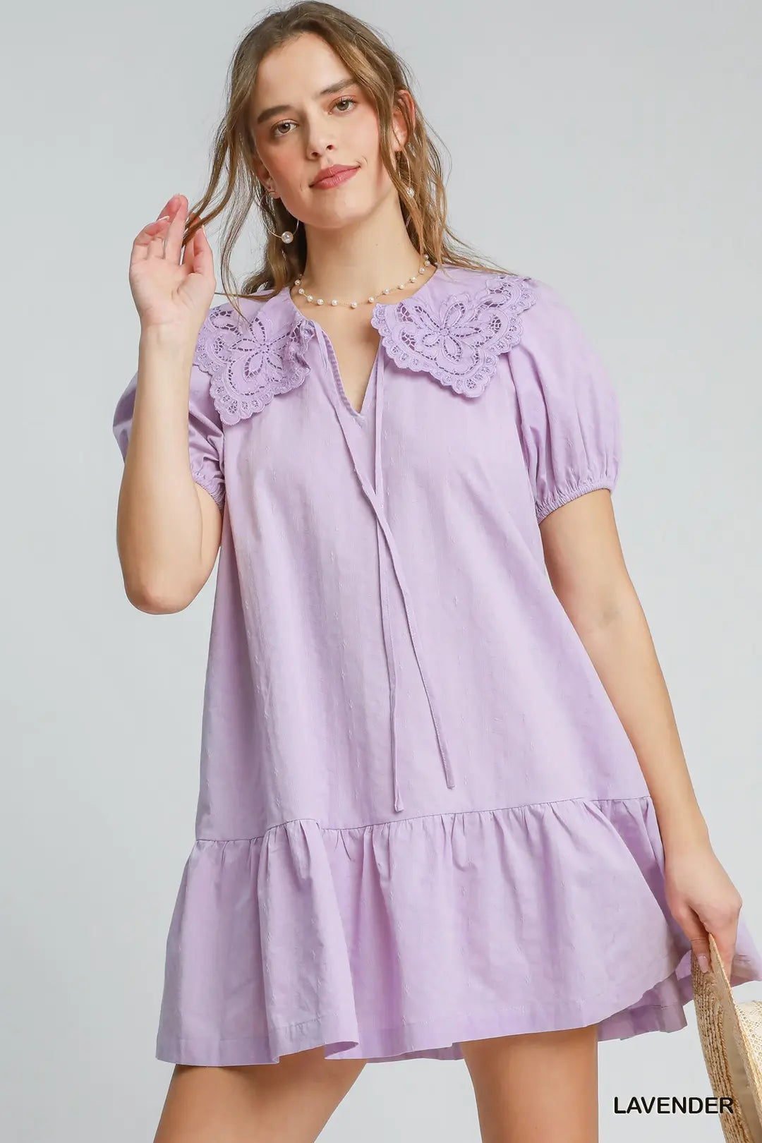 Embroidered Collar Mini Dress