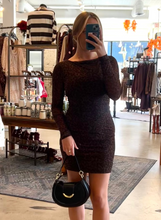 Load image into Gallery viewer, Leopard Mesh Bodycon Long Sleeve Mini Dress
